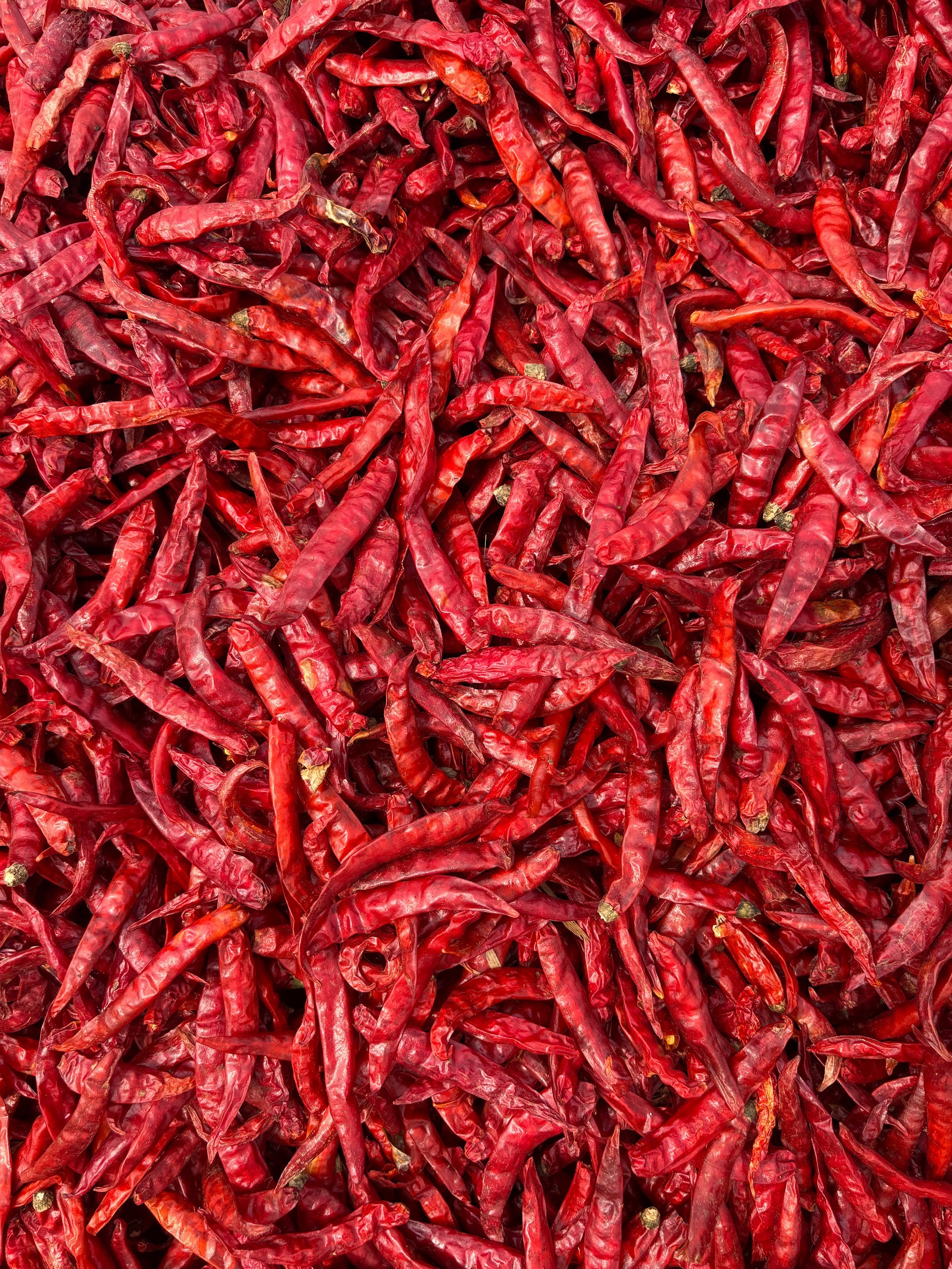 Chilli